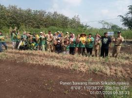 PANEN BAWANG MERAH KWT SRIKANDI NYAWIJI NGRINGIN